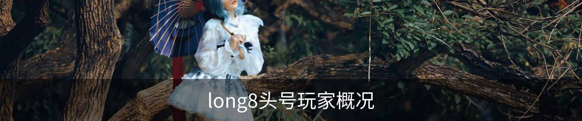 long8头号玩家概况